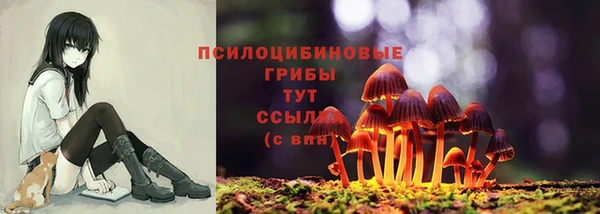 MESCALINE Билибино