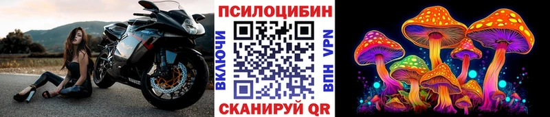 дарнет шоп  Сусуман  Галлюциногенные грибы прущие грибы 